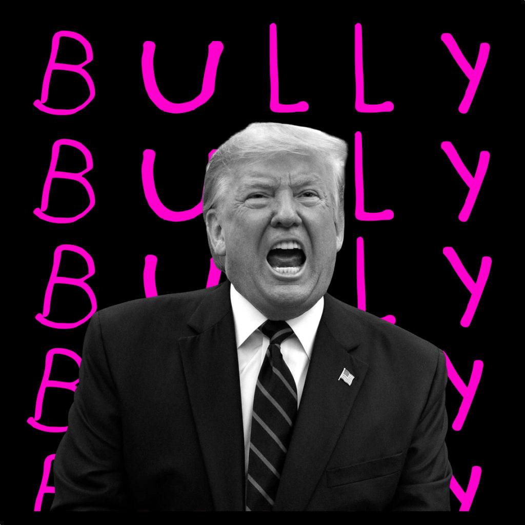 Donald Trump Bully
