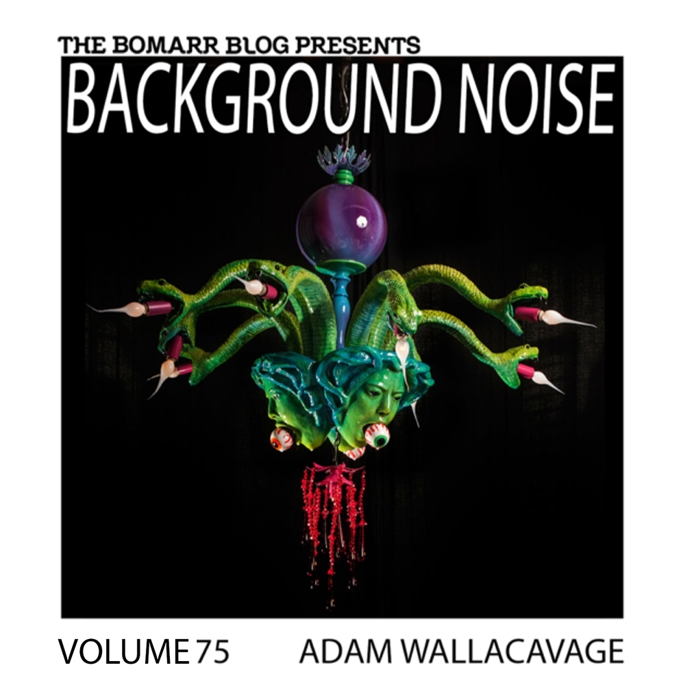 Adam Wallacavage Background Noise