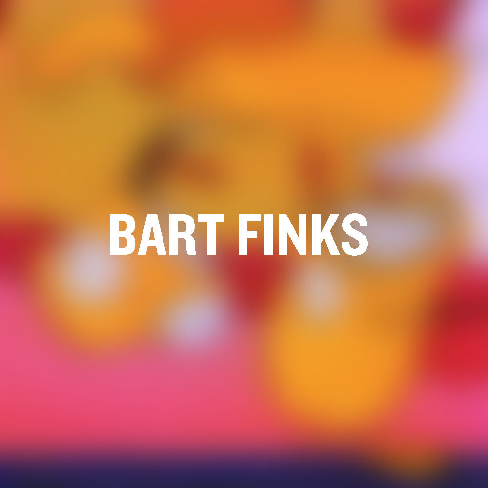Bart Finks
